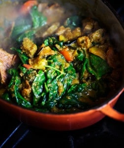 Indian_spiced_lamb_curry-252x300[1]