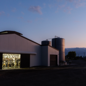 Milking shed at dawn