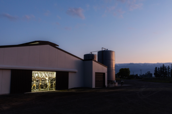 Farm Dairy Assessment Process