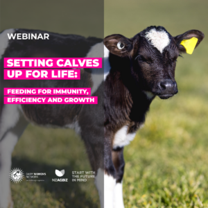 Setting Up Calves for Life