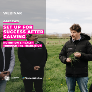 Set Up for Success After Calving - Part 2
