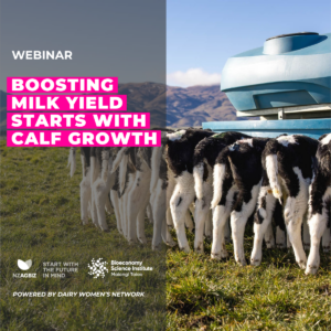 Boosting Milk Yield Starts with Calf Growth