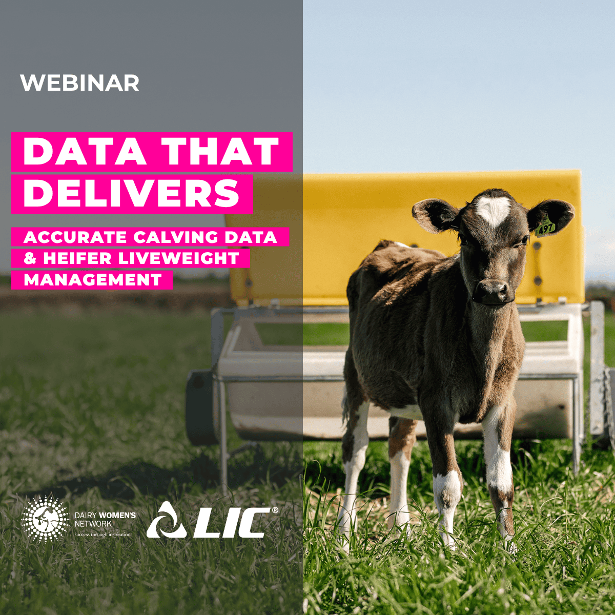 Data that Delivers
