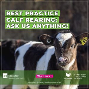 Best Practice Calf Rearing: Ask us anything