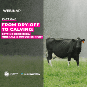 From Dry-Off to Calving