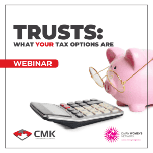 Trusts: What Your Tax Options Are