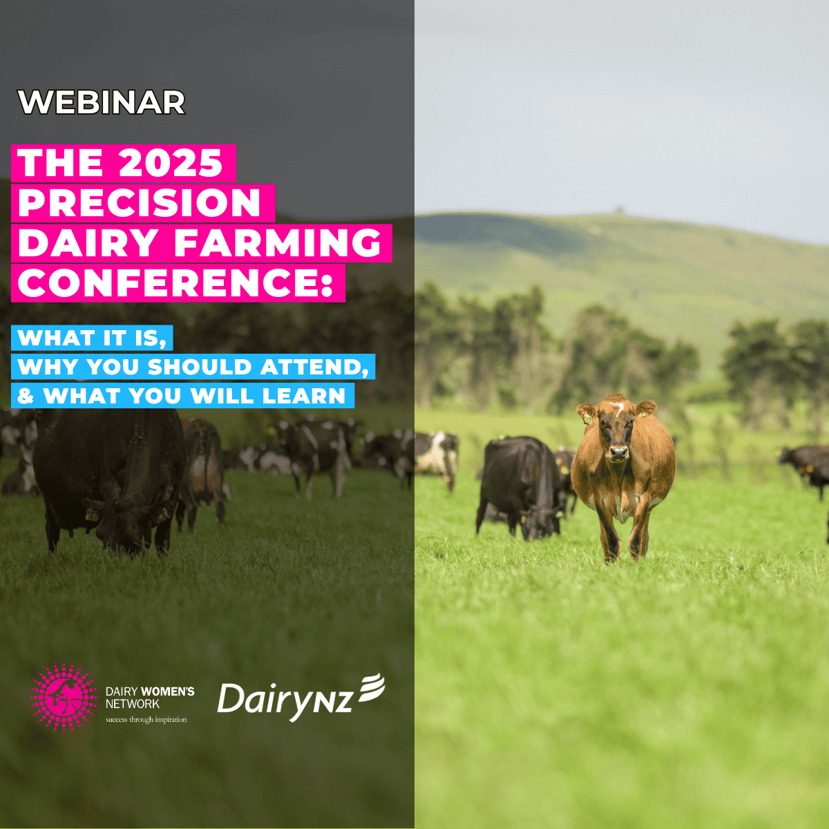 The 2025 Precision Dairy Farming Conference