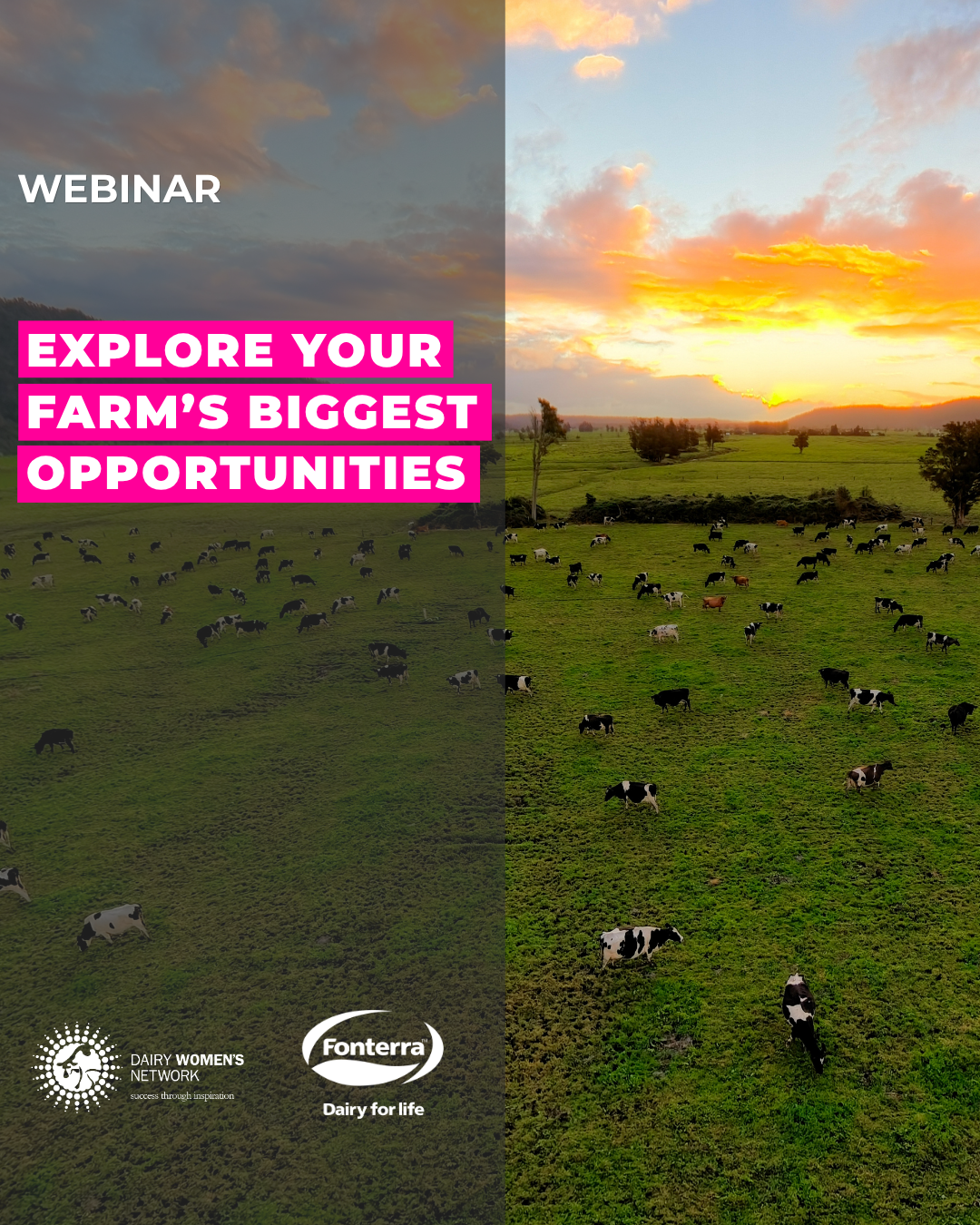 Explore Your Farm’s Biggest Opportunities