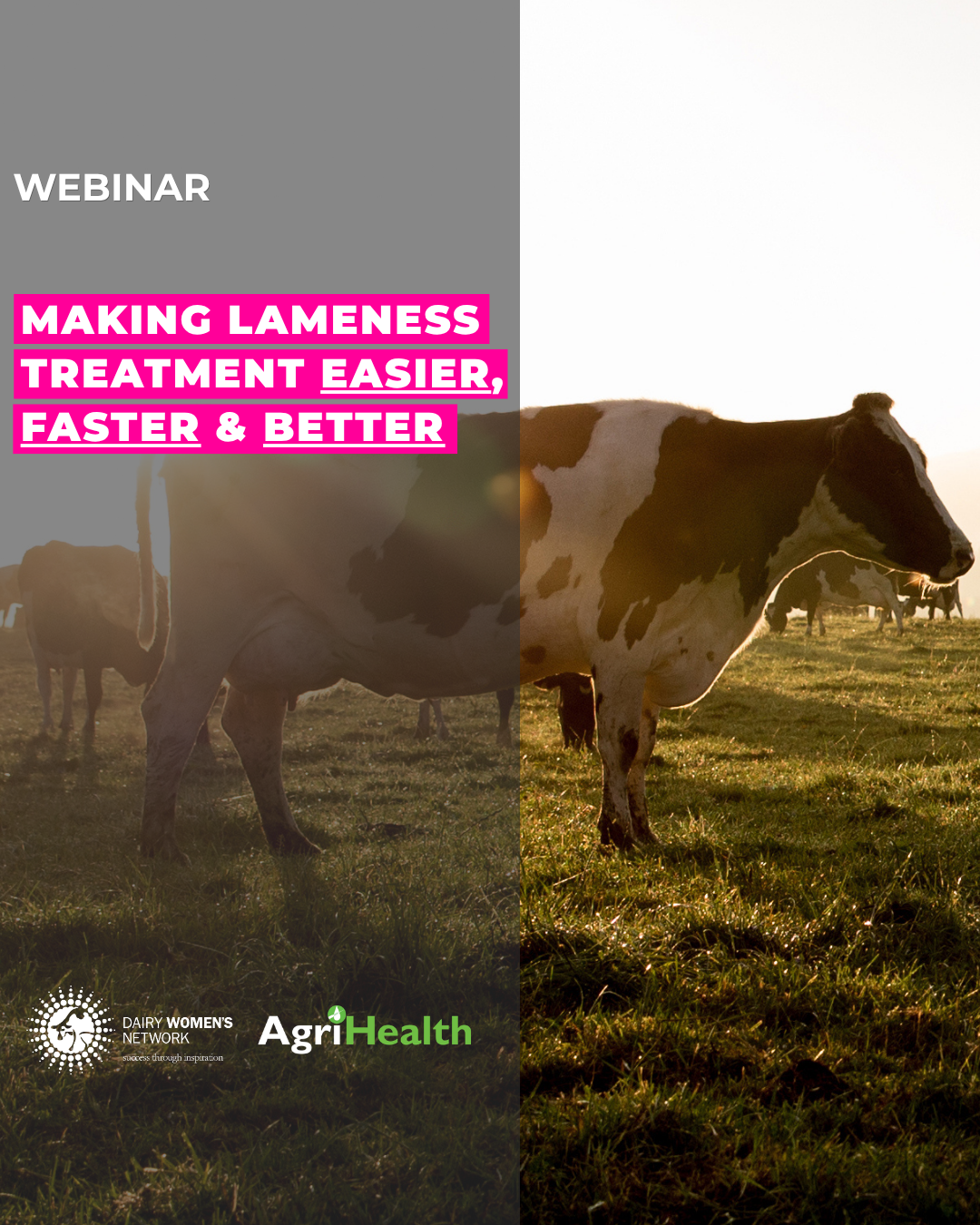 Making Lameness Treatment Easier, Faster & Better