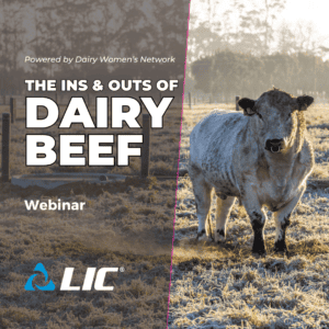 The Ins and Outs of Dairy Beef