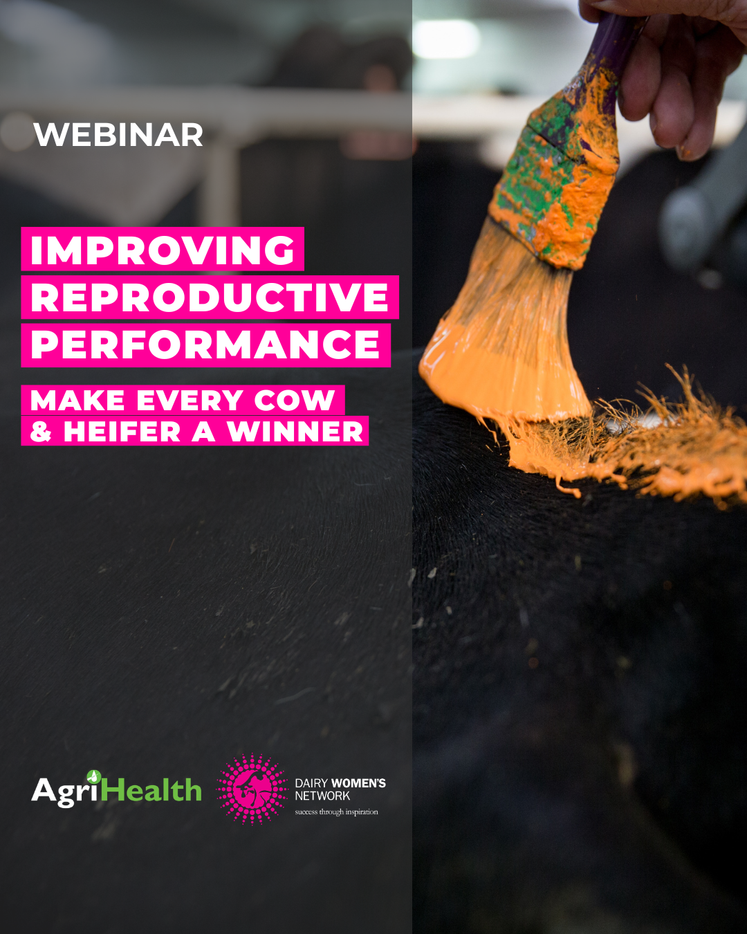 Improving Reproductive Performance
