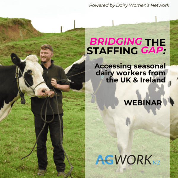 Bridging the Staffing Gap
