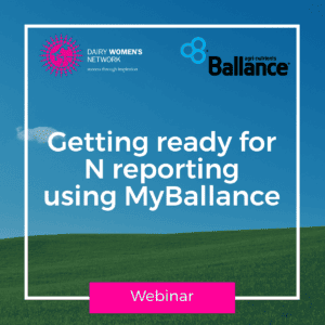 Getting ready for N reporting using MyBallance