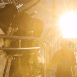 Managing risks of Drugs and Alcohol in the workplace/on farm Webinar