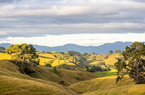 AdobeStock_279176597 AdobeStock_279176597