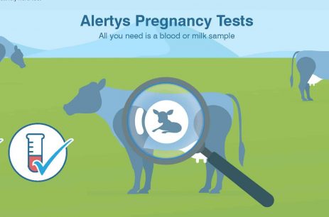 Alertys Sample Based Testing Article NZ Updated (3) Alertys Sample Based Testing Article NZ Updated (3)