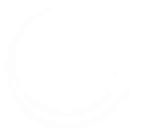 DWN Conf 2026 logo WEB - WHITE