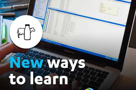 PrimaryITO Online Learning PrimaryITO Online Learning