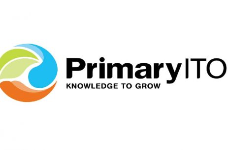primary-ito primary-ito